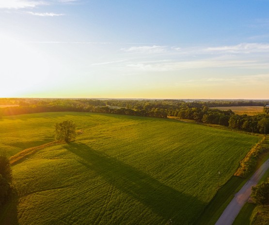 Sun setting over a field