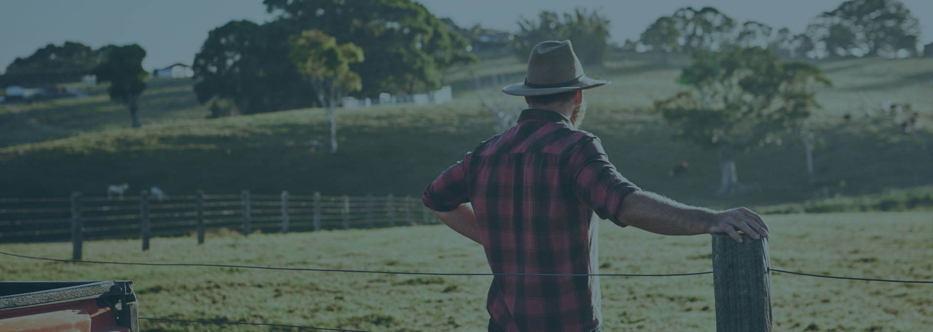 farmer admiring land
