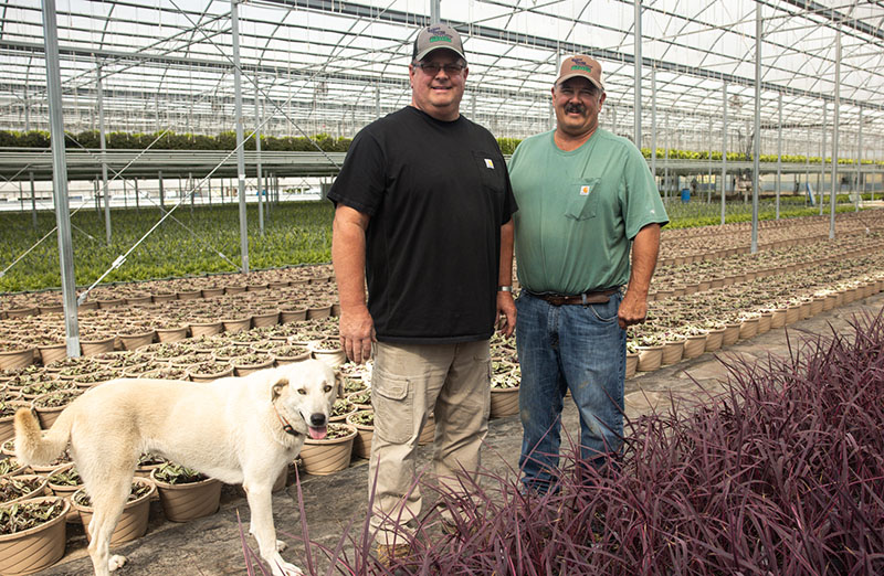 greenhouse owners
